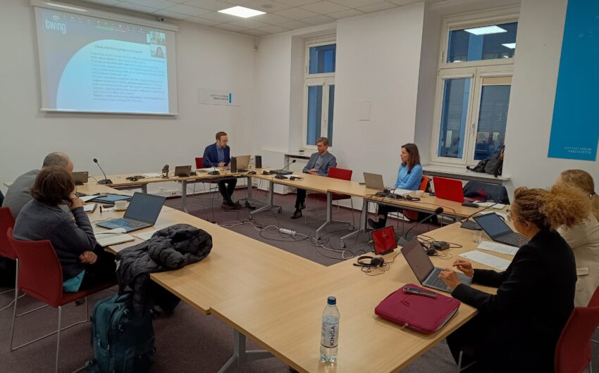 <strong>Second scientific meeting of the TWING project</strong>